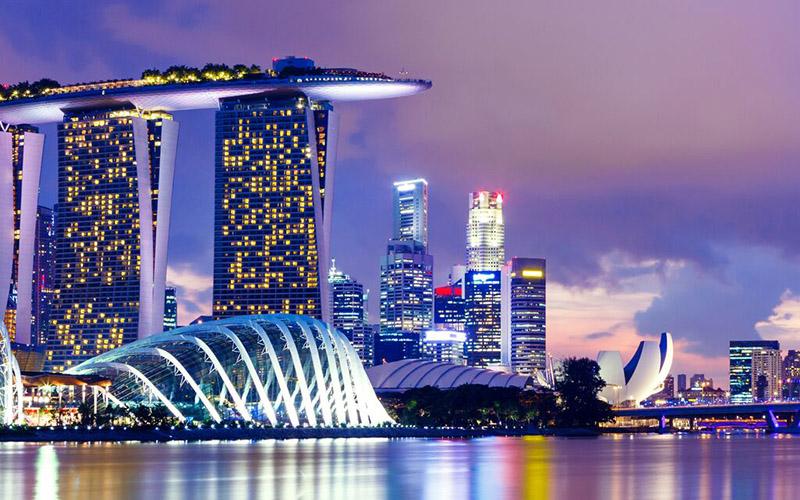新加坡的移民率有多高？探索其背后的原因与趋势