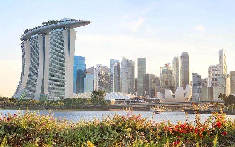 新加坡能不能工作移民？条件、流程与前景探析